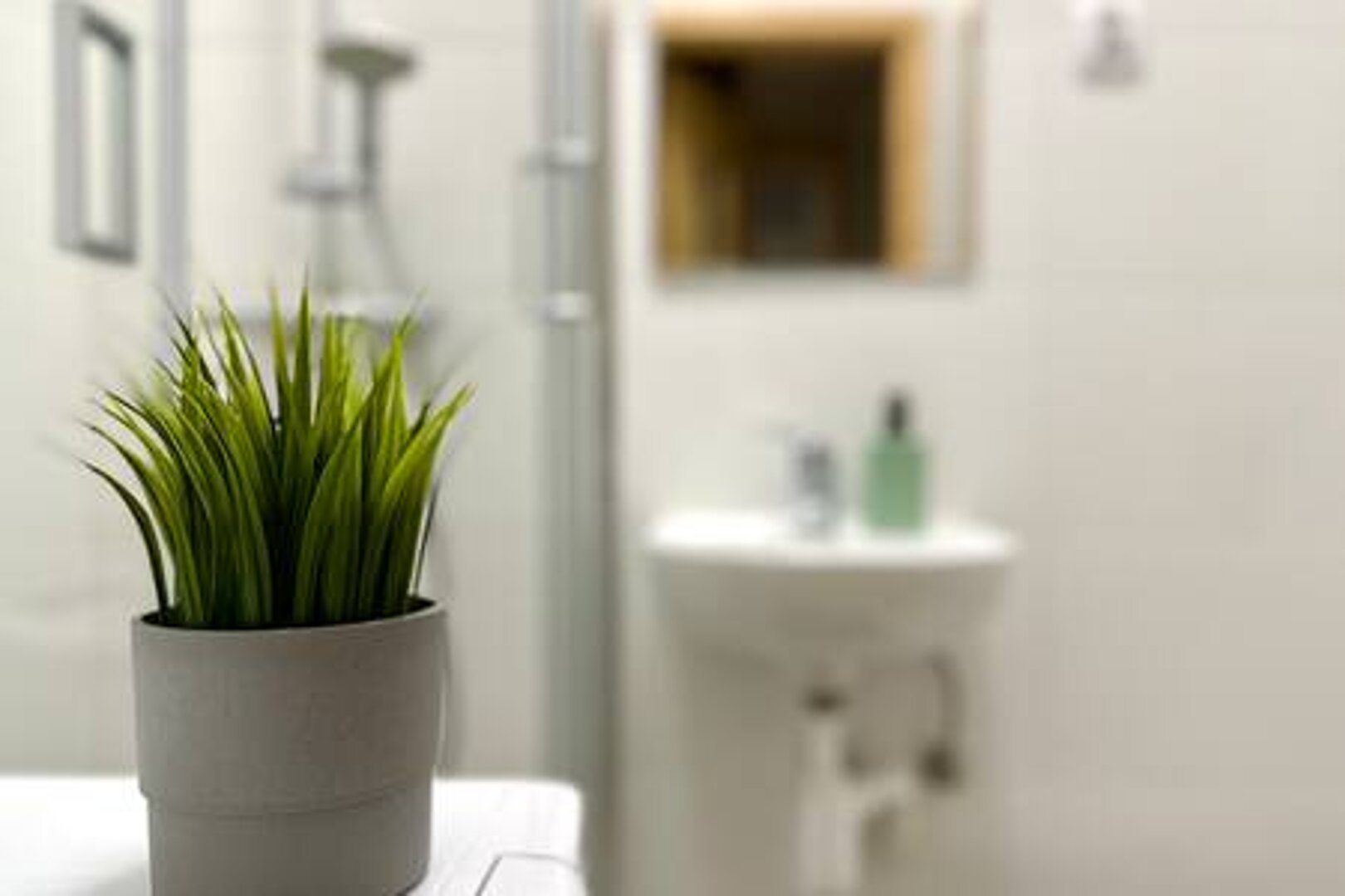 MMRent Maria Smeja - 16