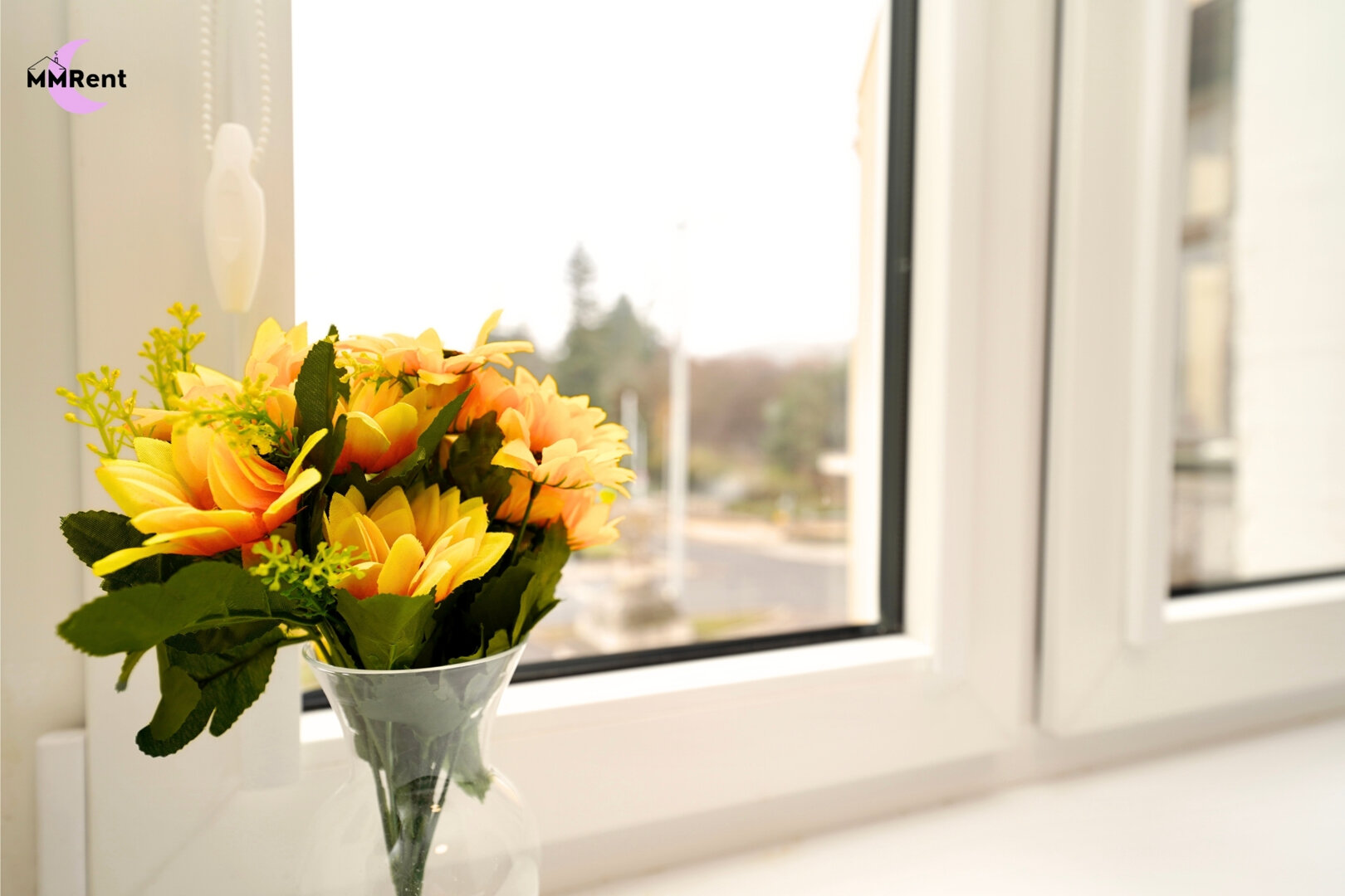 MMRent Maria Smeja - 18