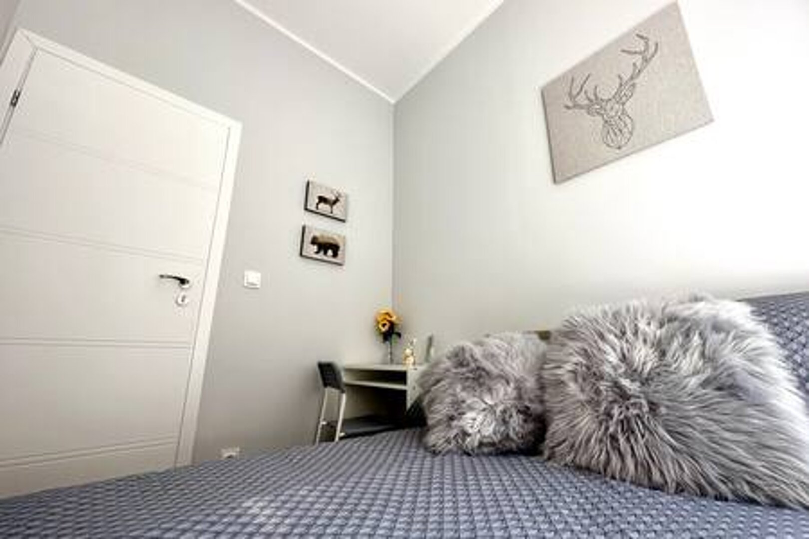 MMRent Maria Smeja - 8