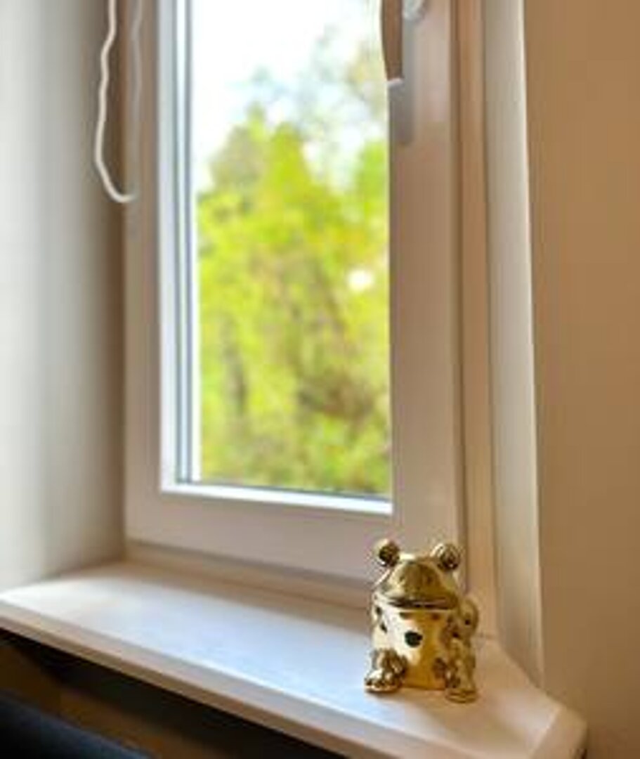 MMRent Maria Smeja - 12