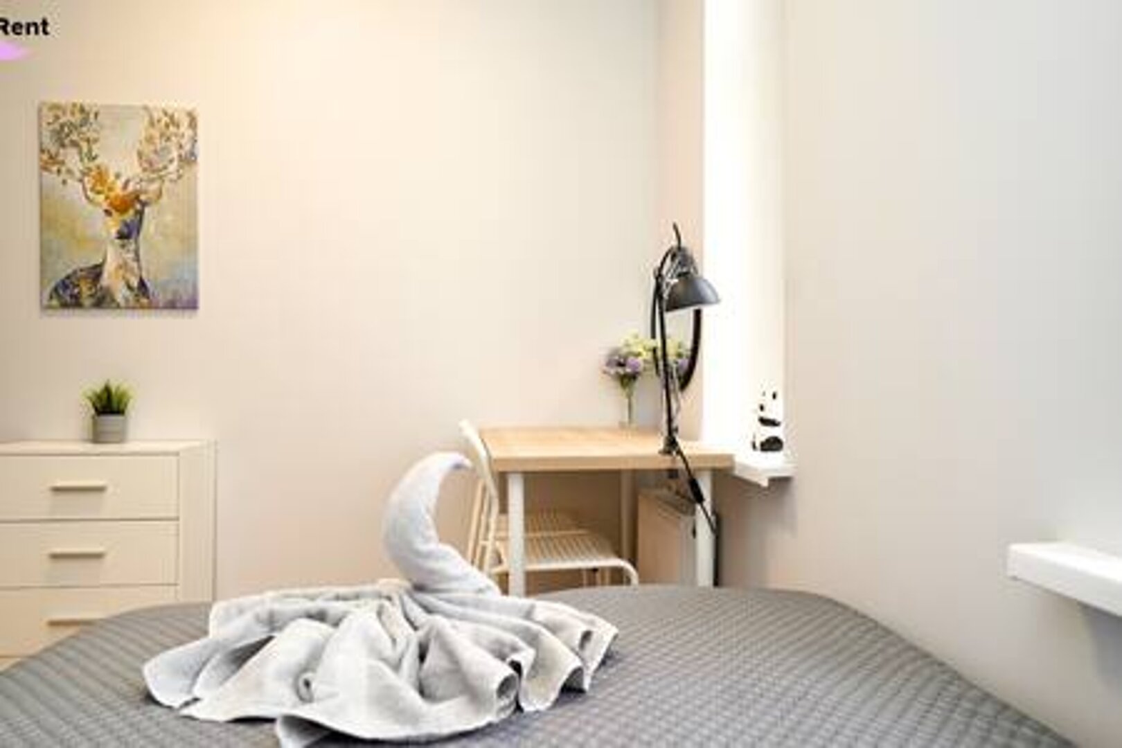 MMRent Maria Smeja - 8