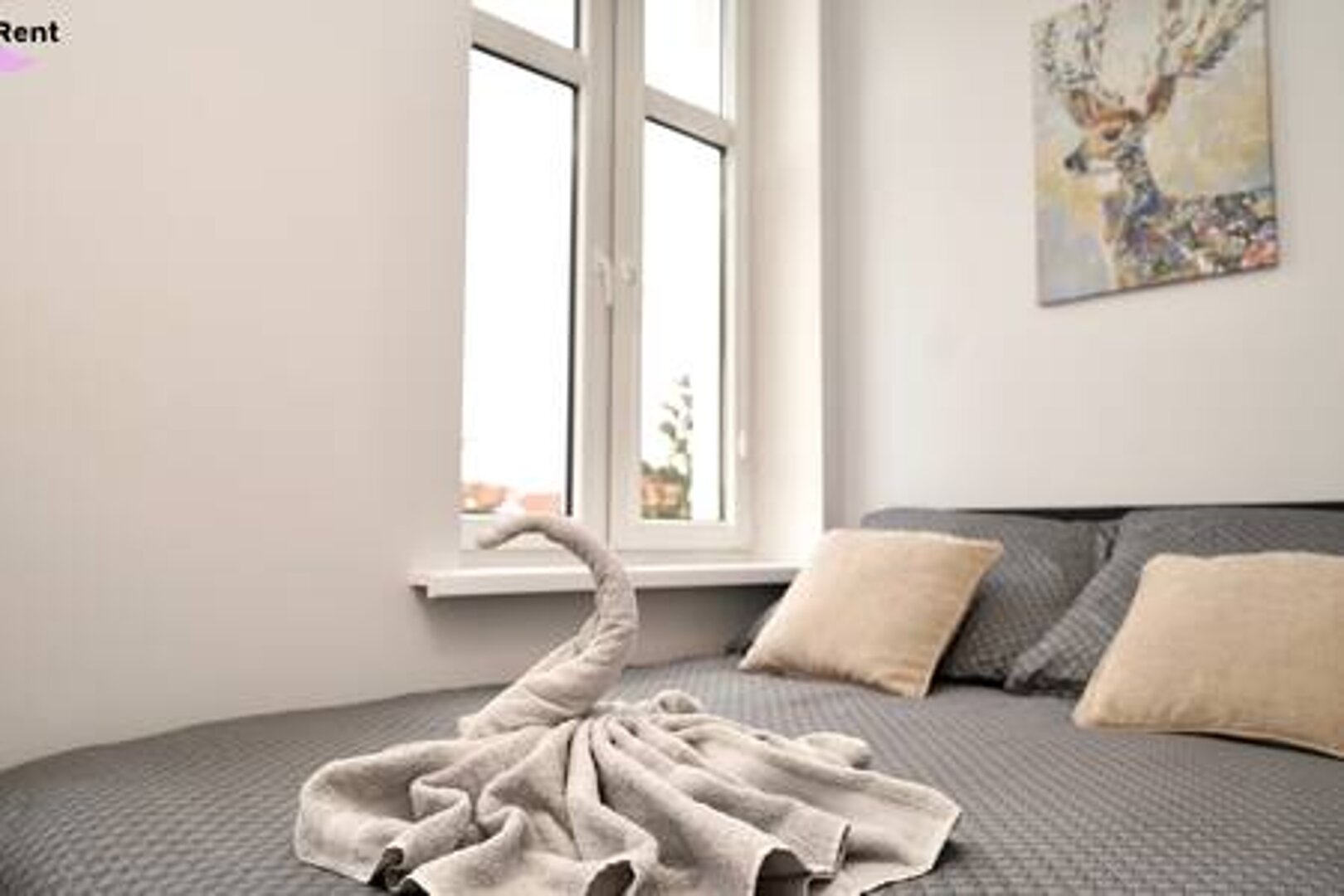 MMRent Maria Smeja - 14